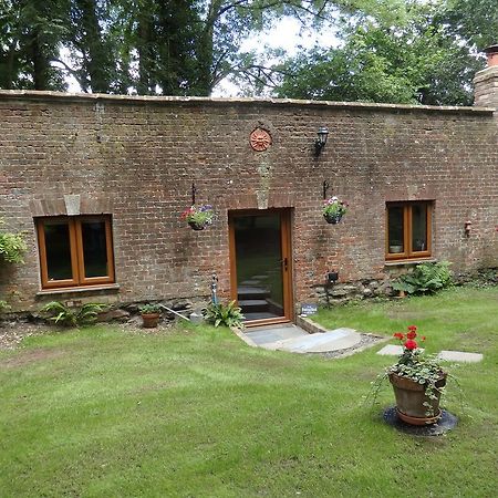 Apartamento The Potting Shed Little Torrington Exterior foto